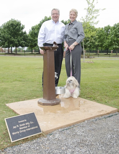 Murdock at Bark Park Murdock at Bark Park