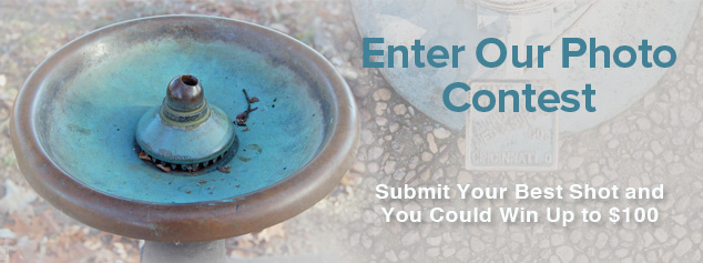 Photo-contest Photo-contest